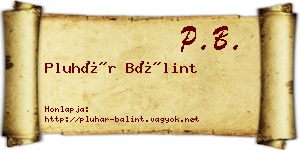 Pluhár Bálint névjegykártya