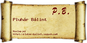 Pluhár Bálint névjegykártya